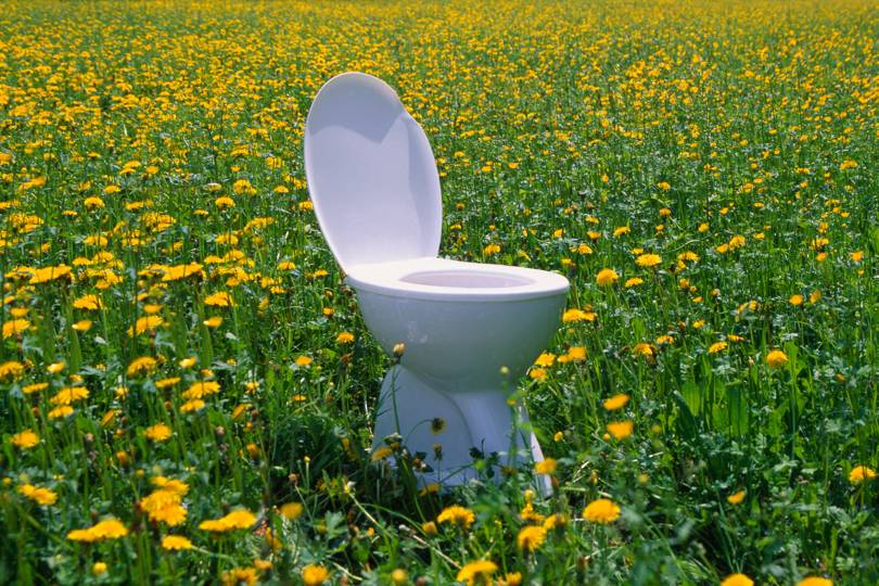 How to use Human urine in the garden? - plants bank