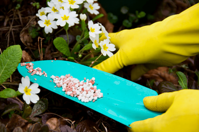 Liquid fertilizer - plants bank