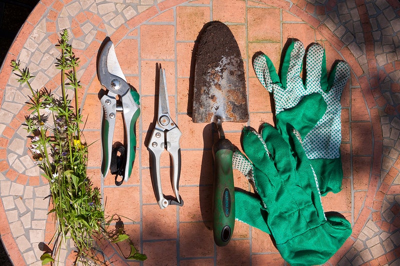 Pruning material - plants bank