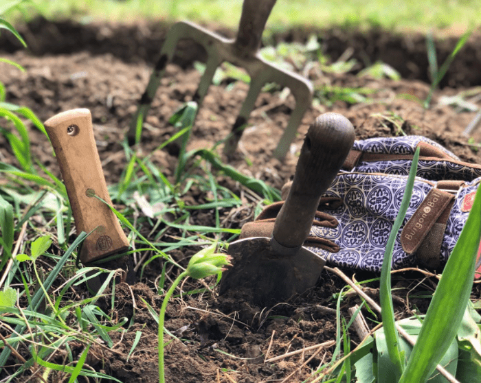 White vinegar to weed the garden