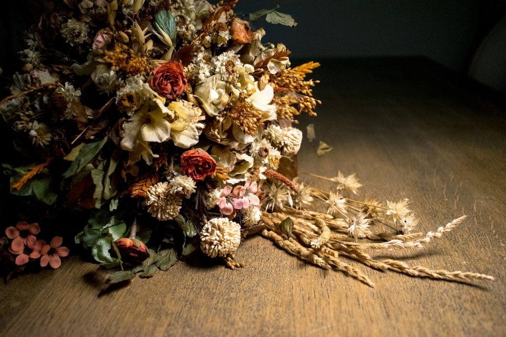 dried flowers - plants bank