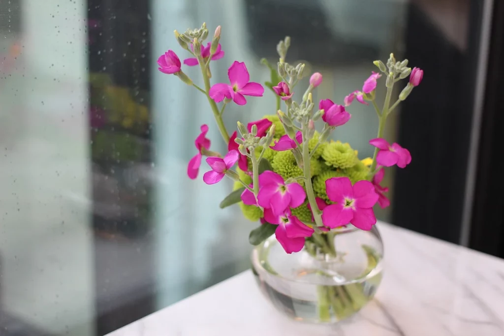 flowers in a vase - plants bank