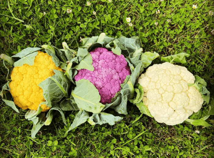 cauliflower types