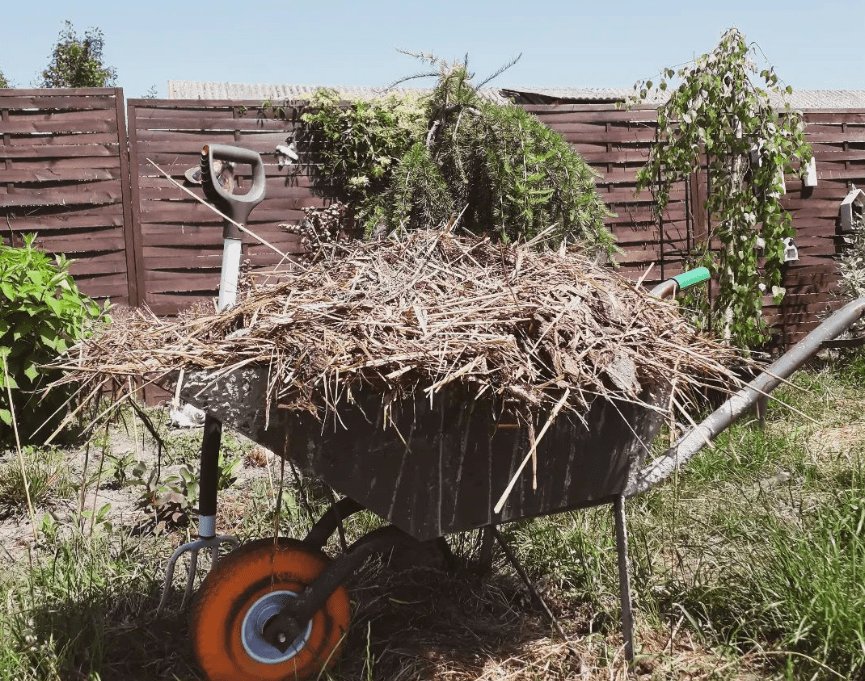 Plant manure