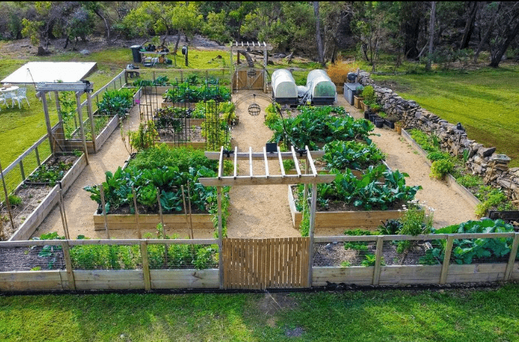 What are vegetable garden beds?